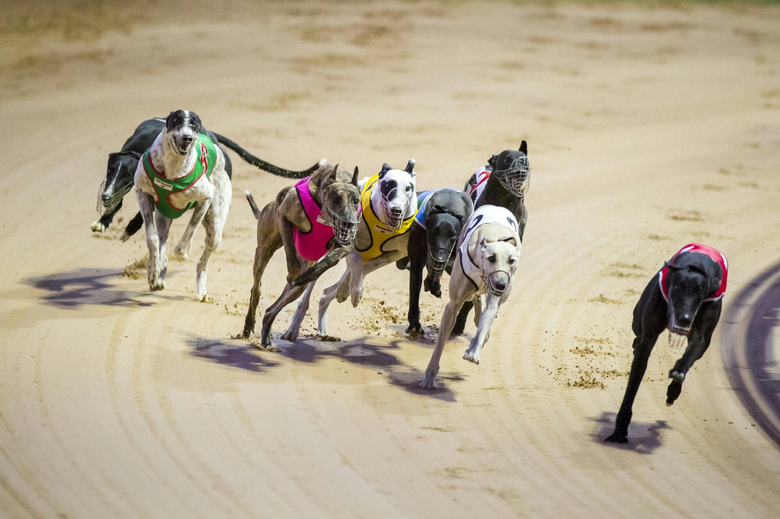 Racing_rwwa1-3-17-2265-scaled