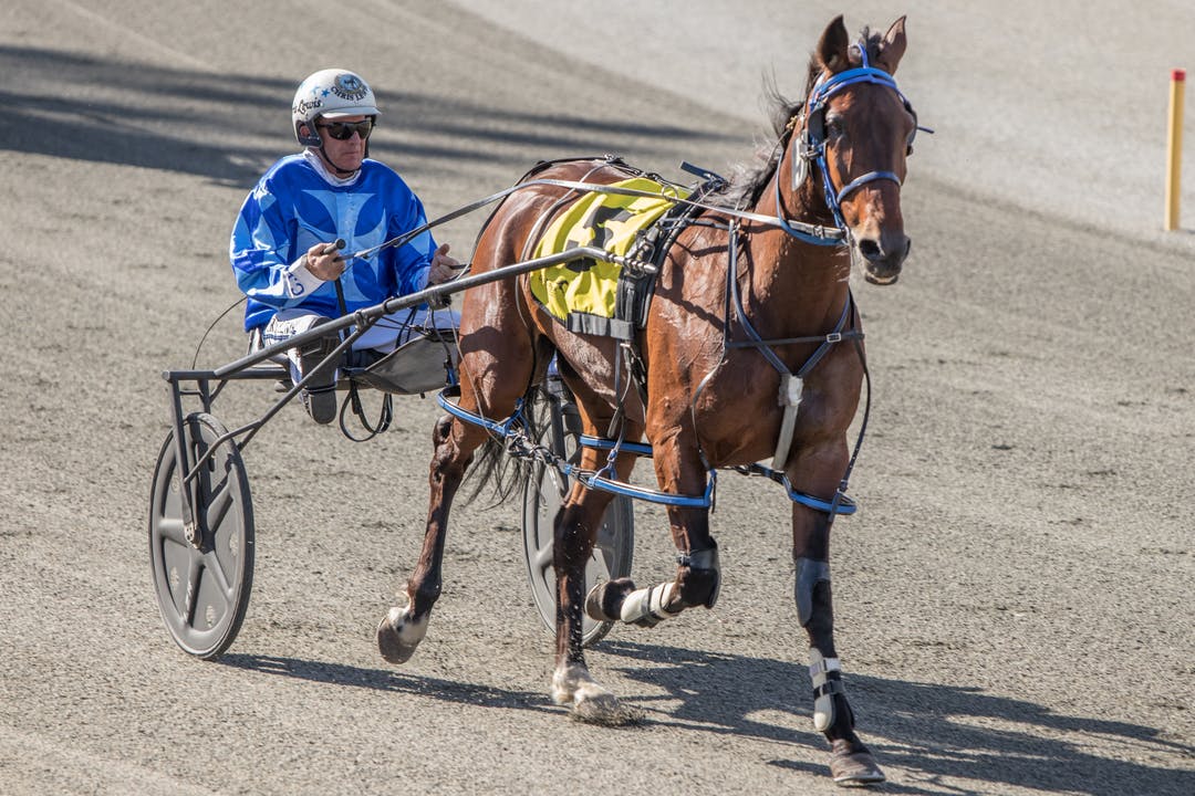 Chris-Lewis_RWWA_HarnessRacingImages-27-of-169_rdax_1080x720