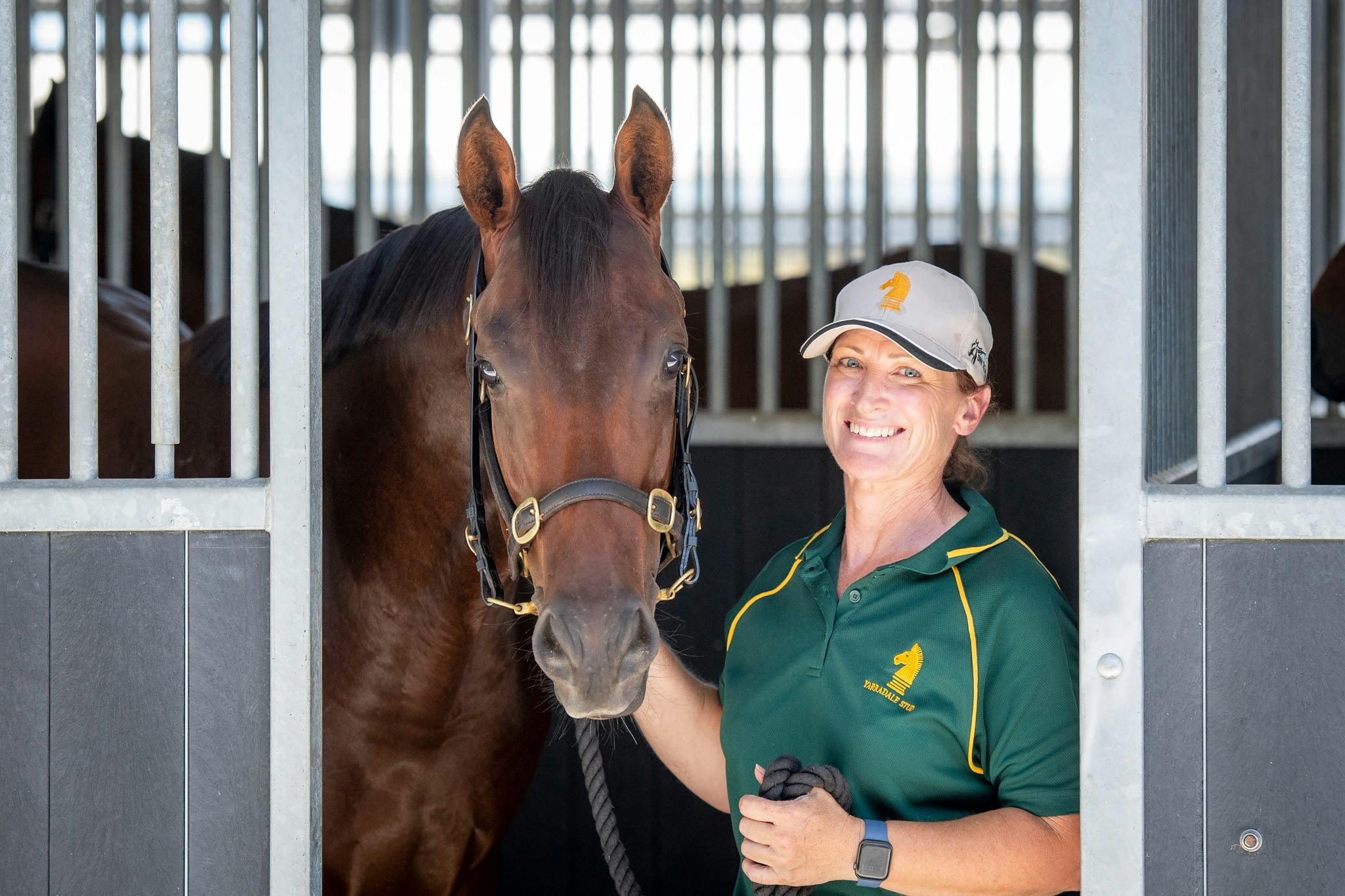 yarradale stud yearling - magic millions sales