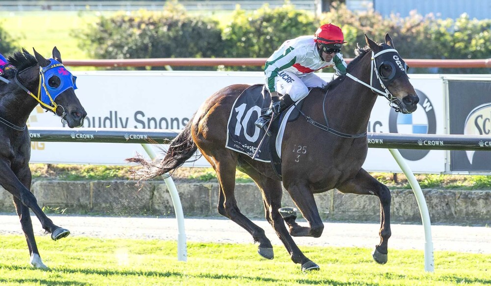 Super Maxi_18-08-2018_WIN_Belmont_7__14_1000x583px